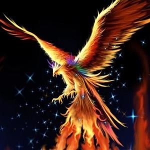 Meet your Posher, Fabrizio